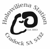 Holowiliena Station