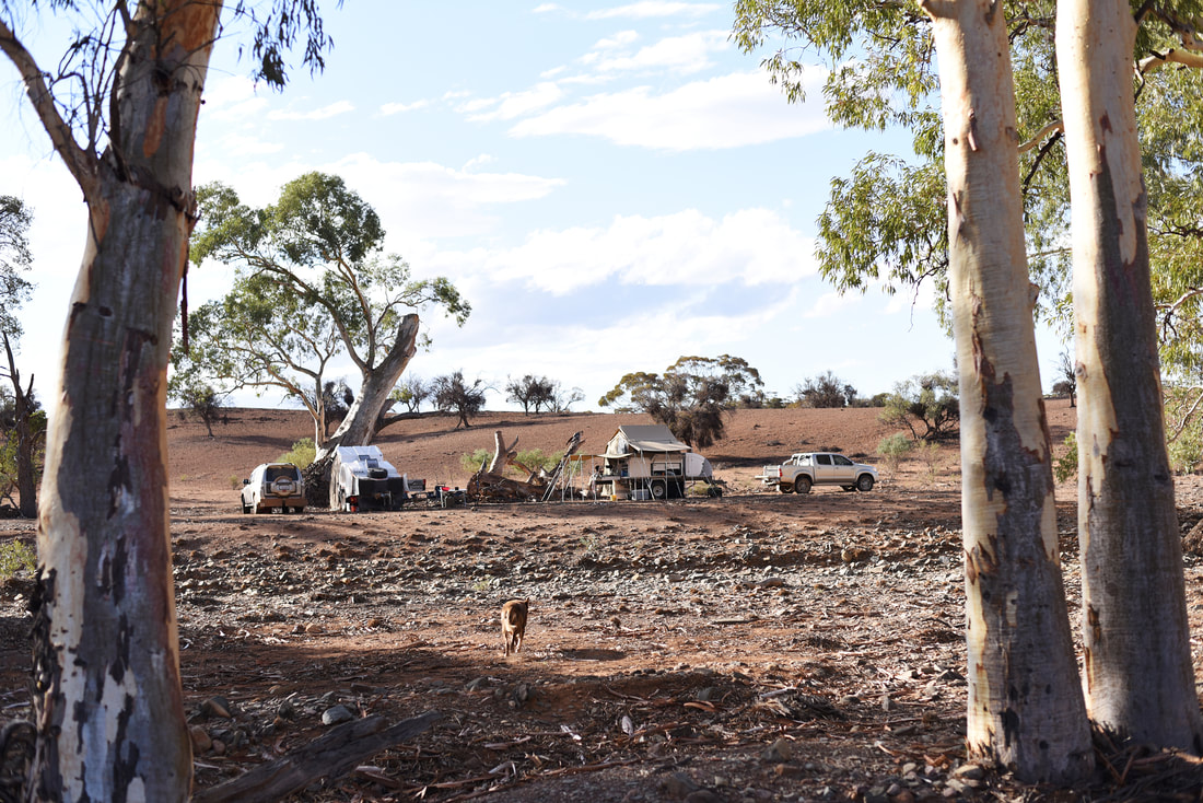 All new, secluded bush campsites available in the Flinders Ranges.